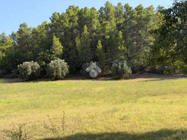 Terreno in vendita a Narni, Umbria