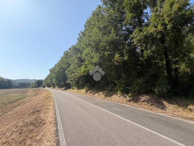 Terreno in vendita a Narni, Umbria
