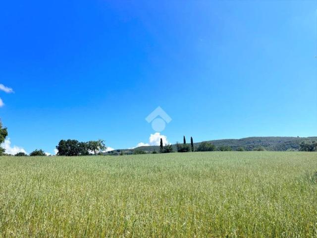 Terreno in vendita a Narni, Umbria