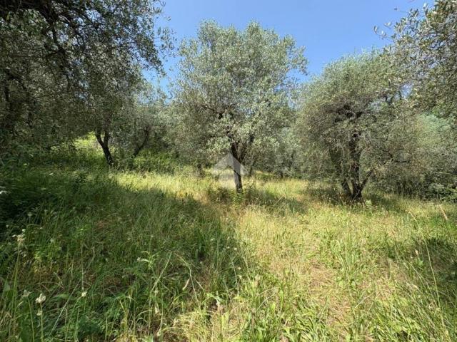 Terreno in vendita a Narni, Umbria