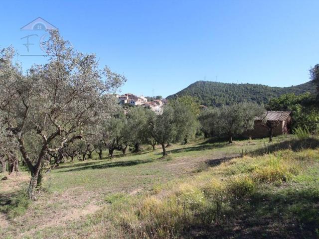 Terreno in vendita a Taizzano, Narni