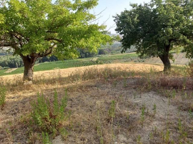Terreno in vendita a Naro, Sicilia