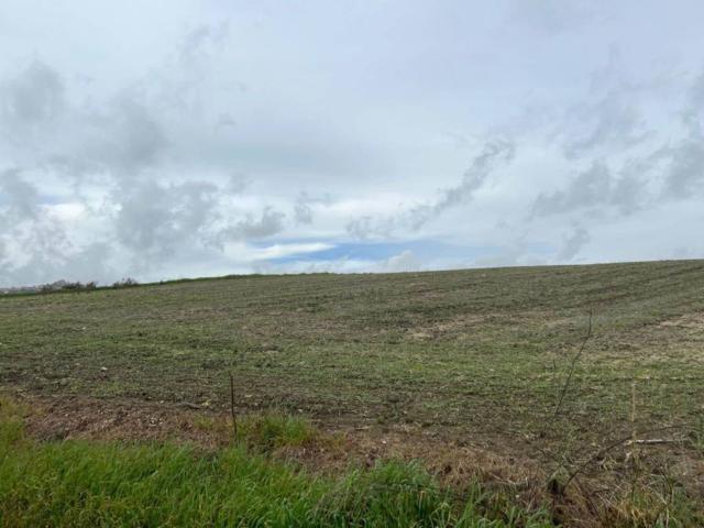 Terreno in vendita a Naro, Sicilia