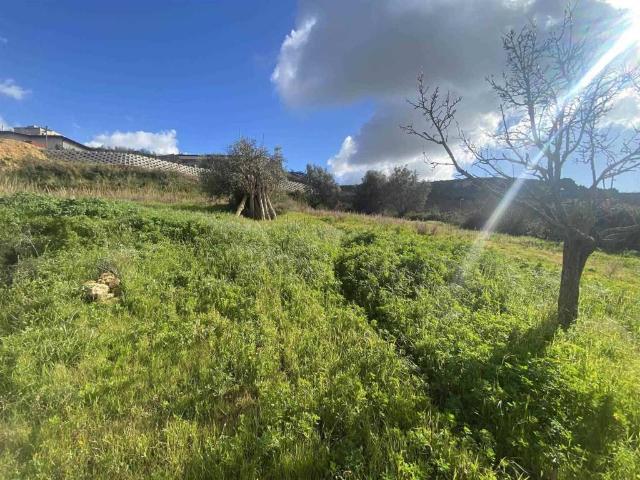 Terreno in vendita a Naro, Sicilia