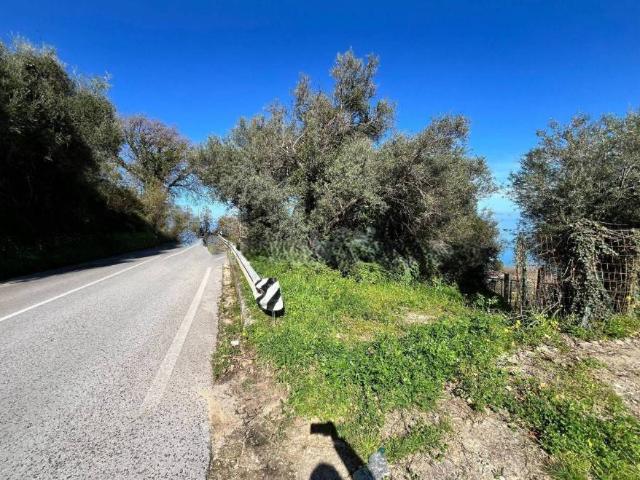 Terreno in vendita a Naso, Sicilia