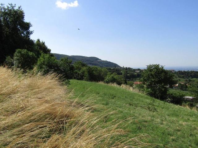 Terreno in vendita a Negrar, Veneto