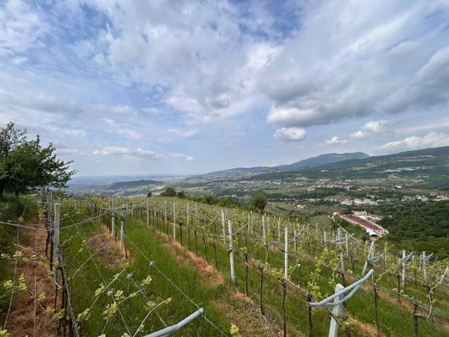 Terreno in vendita a Chieve, Negrar