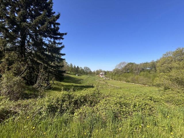 Terreno in vendita a Negrar, Veneto