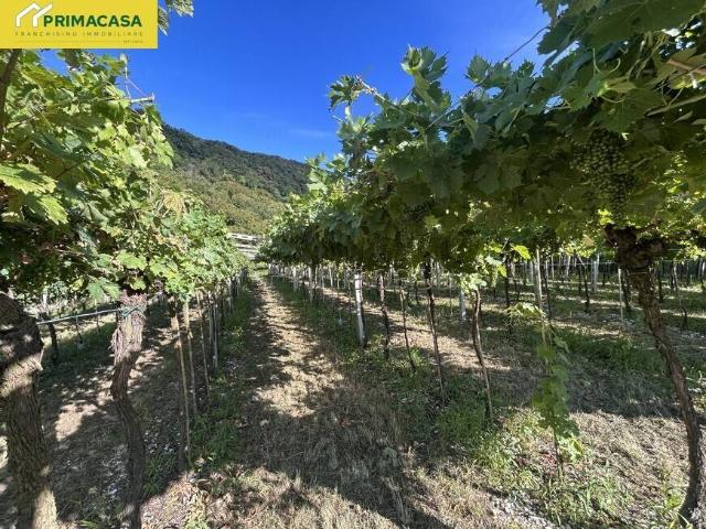 Terreno in vendita a Negrar, Veneto