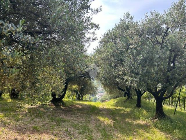 Terreno in vendita a San Peretto, Negrar
