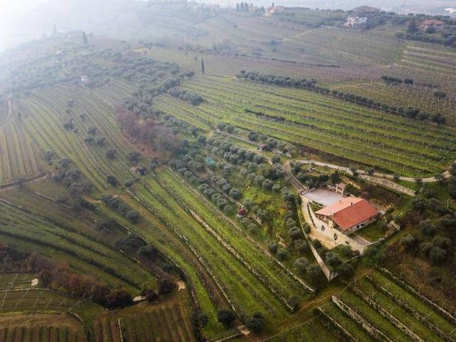 Terreno in vendita a Negrar, Veneto