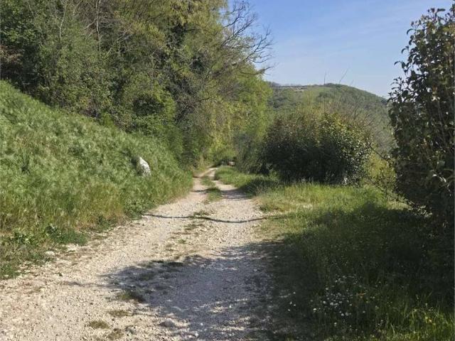 Terreno in vendita a Negrar, Veneto