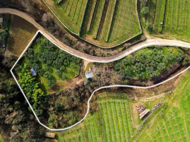 Terreno in vendita a Negrar, Veneto