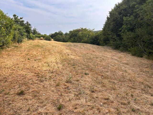 Terreno in vendita a Negrar, Veneto