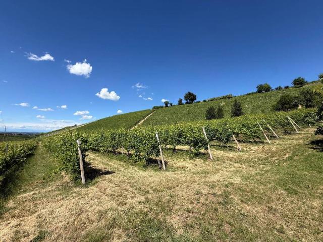 Terreno in vendita a Piemonte, Cuneo