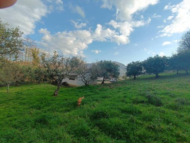 Terreno in vendita a Nemoli, Basilicata
