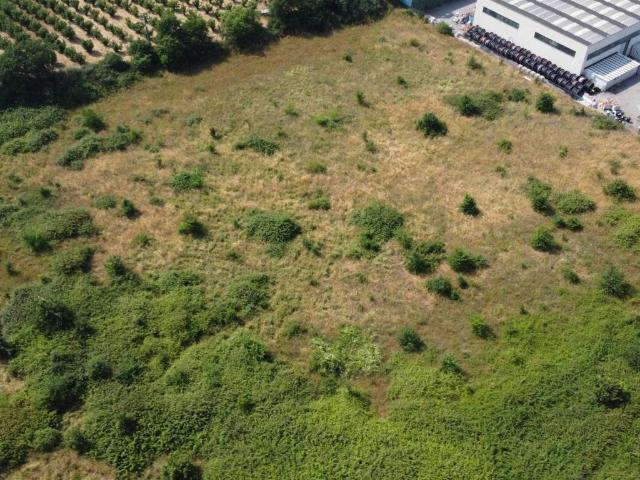 Terreno in vendita a Nepi, Lazio