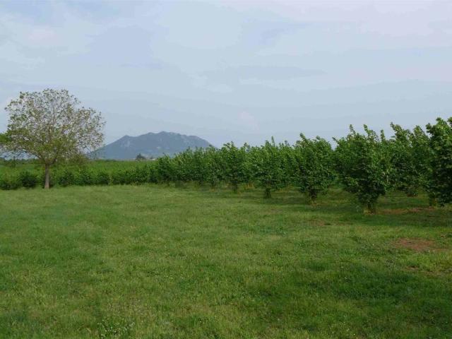 Terreno in vendita a Nepi, Viterbo