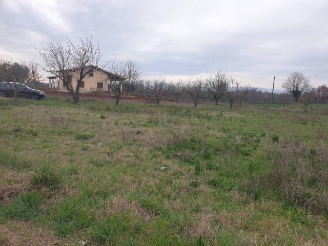 Terreno in vendita a Nepi, Lazio