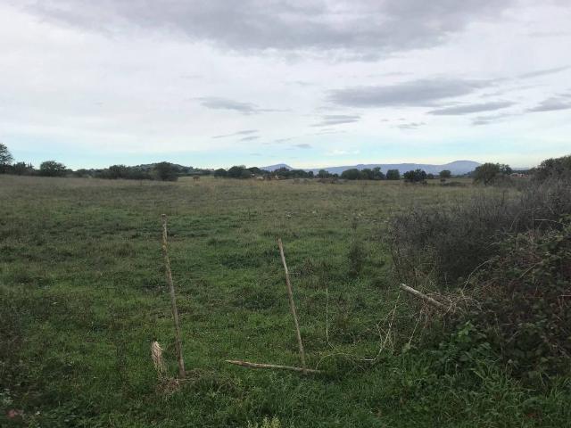 Terreno in vendita a Nepi, Lazio