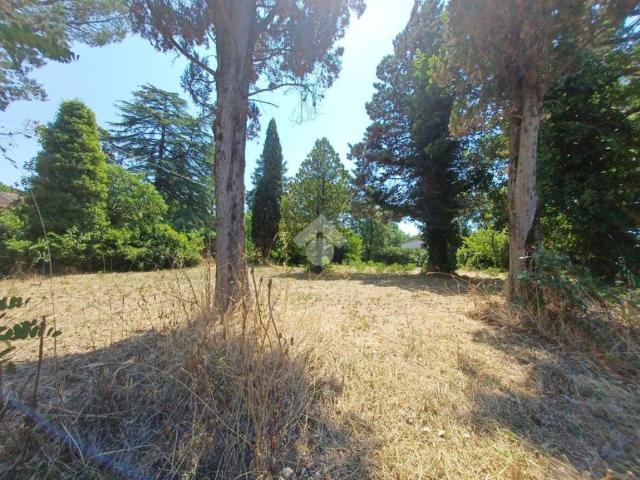 Terreno in vendita a Nepi, Lazio