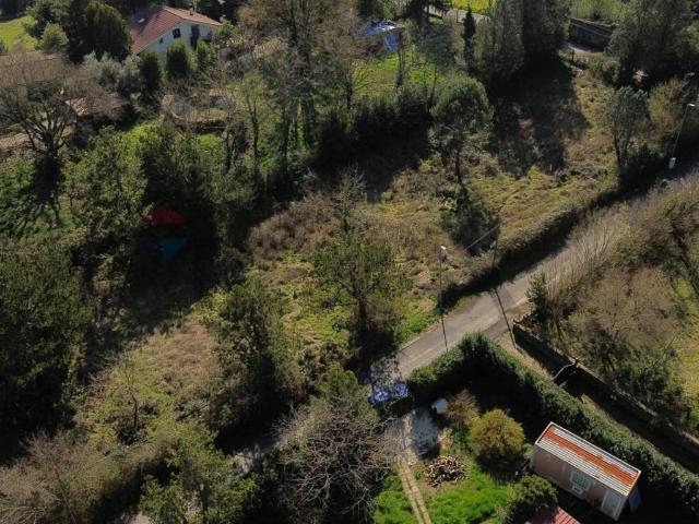 Terreno in vendita a Nepi, Lazio