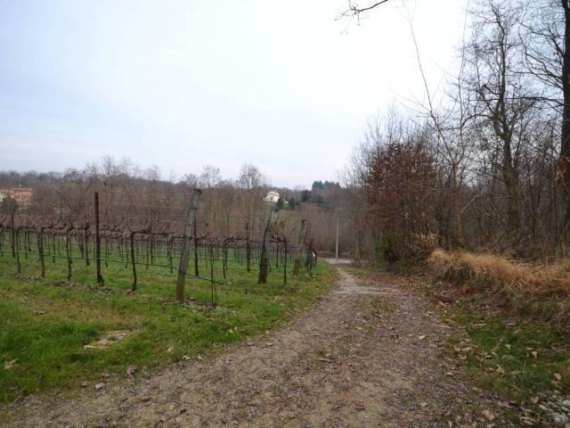 Terreno in vendita a Nervesa Della Battaglia, Veneto