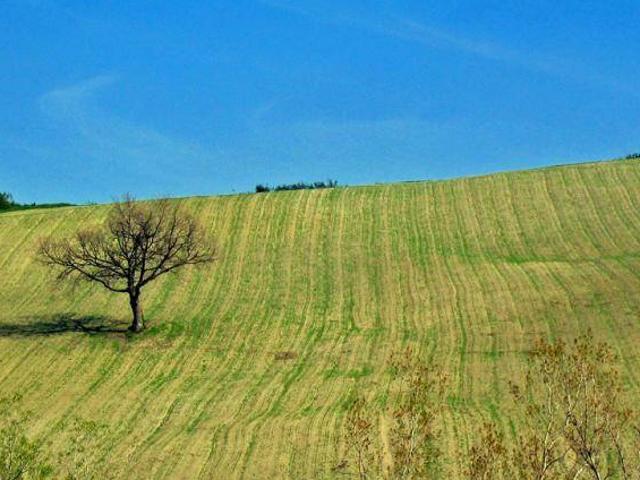 Terreno in vendita a Cantone, Nerviano