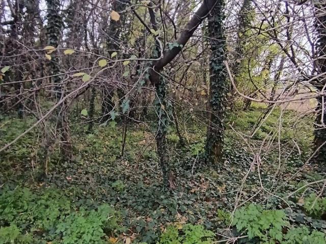 Terreno in vendita a Garbatola, Nerviano