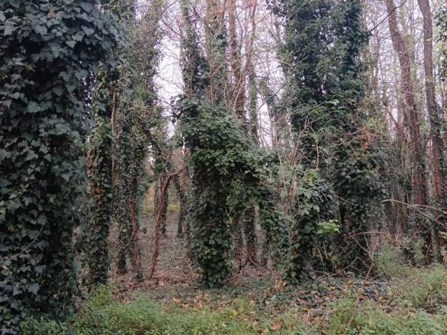Terreno in vendita a Garbatola, Nerviano