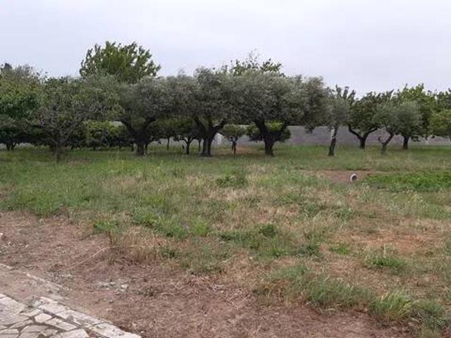 Terreno in vendita a Cretarossa, Roma Capitale