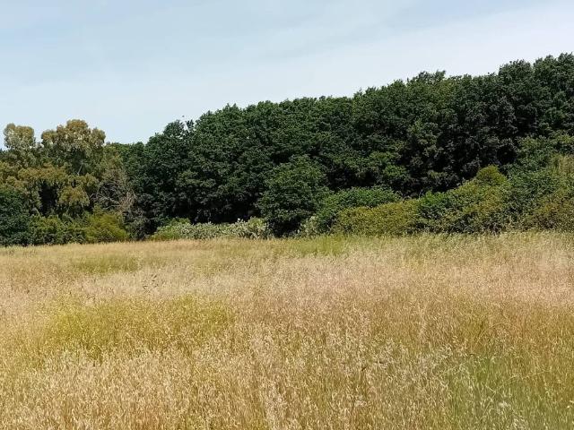 Terreno in vendita a Roma Capitale, Lazio