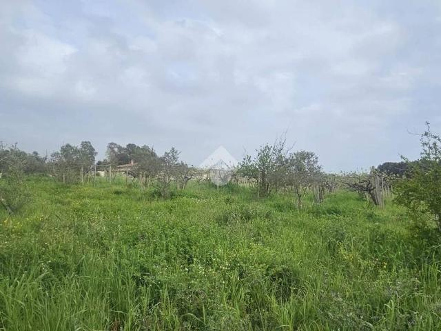 Terreno in vendita a Roma Capitale, Lazio