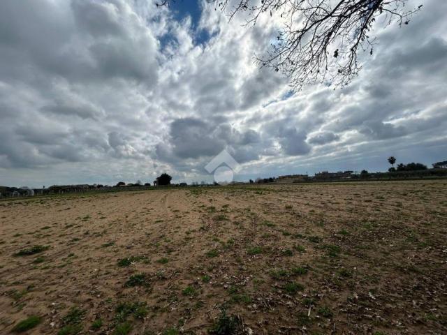 Terreno in vendita a Cervicione, Roma Capitale