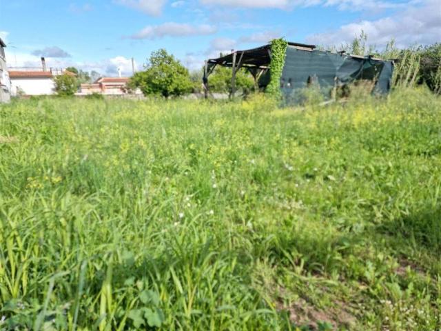 Terreno in vendita a Roma Capitale, Lazio