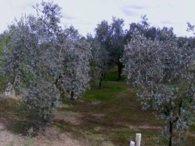 Terreno in vendita a Tre Cancelli, Roma Capitale