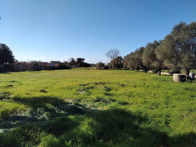 Terreno in vendita a Roma Capitale, Lazio