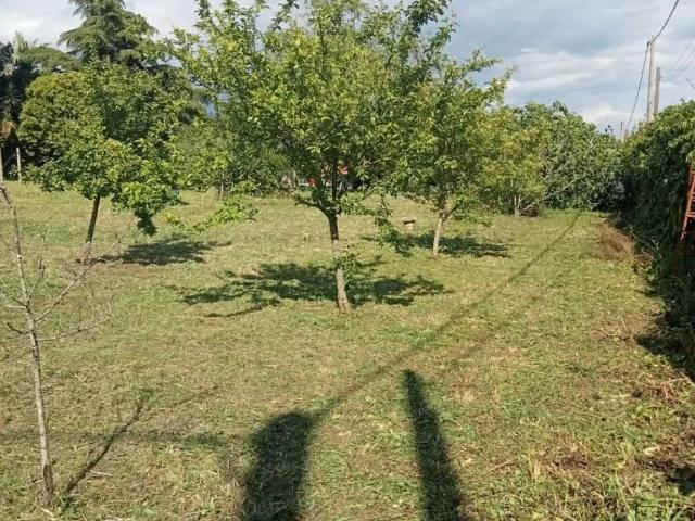 Terreno in vendita a Roma Capitale, Lazio