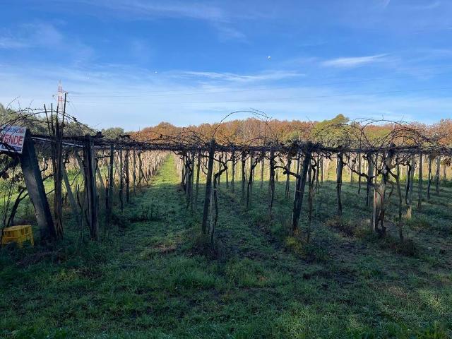 Terreno in vendita a Roma Capitale, Lazio
