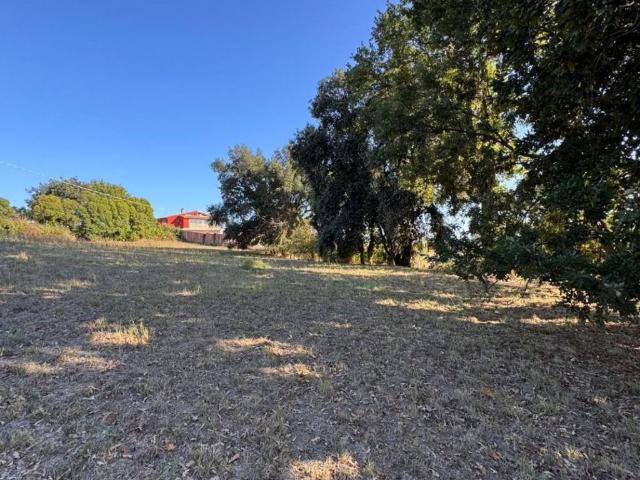 Terreno in vendita a Roma Capitale, Lazio