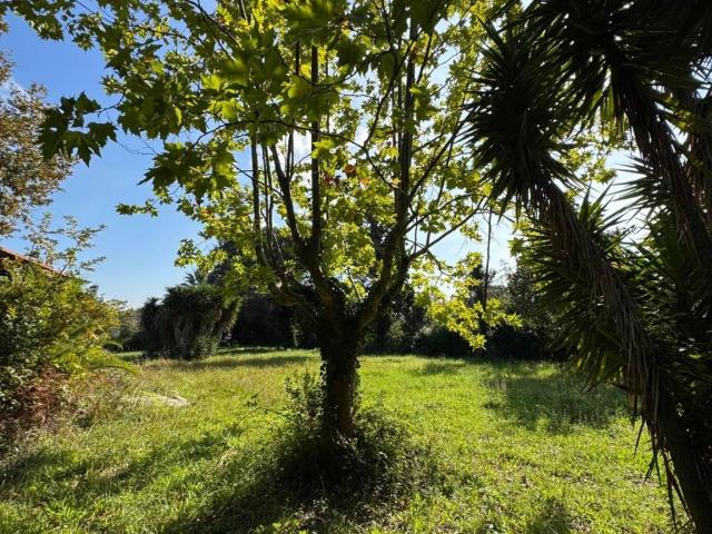 Terreno in vendita a Roma Capitale, Lazio