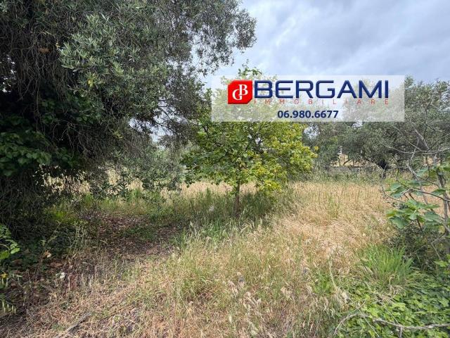 Terreno in vendita a Roma Capitale, Lazio