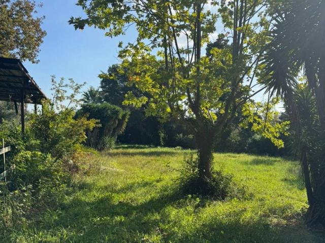Terreno in vendita a Roma Capitale, Lazio