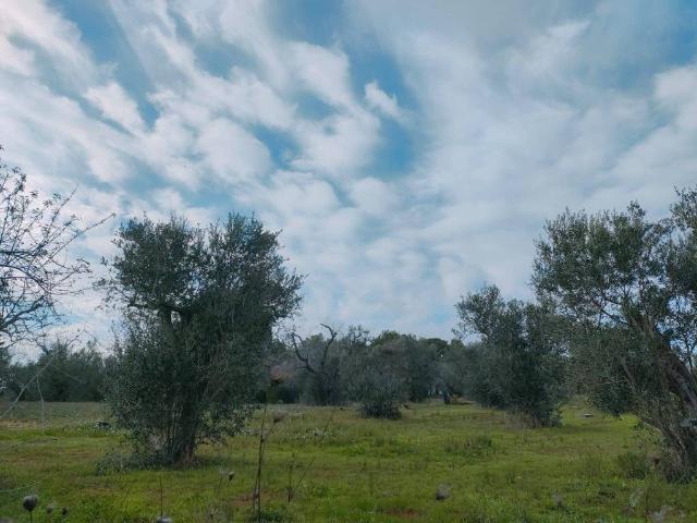 Terreno in vendita a Puglia, Lecce