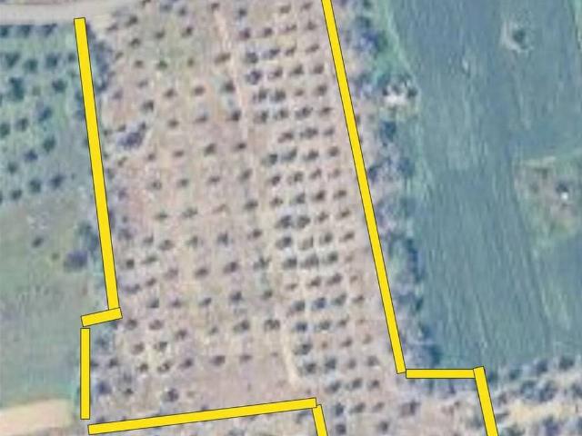 Terreno in vendita a Puglia, Lecce