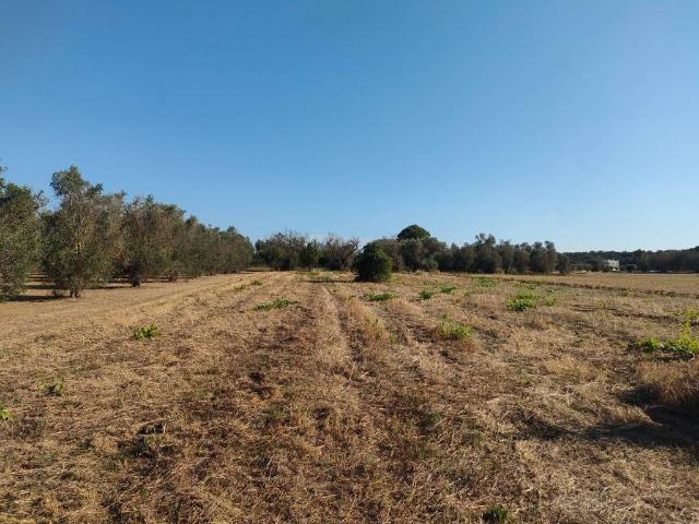 Terreno in vendita a Puglia, Lecce