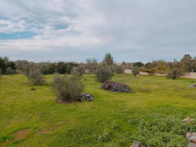 Terreno in vendita a Puglia, Lecce