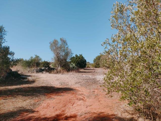 Terreno in vendita a Puglia, Lecce