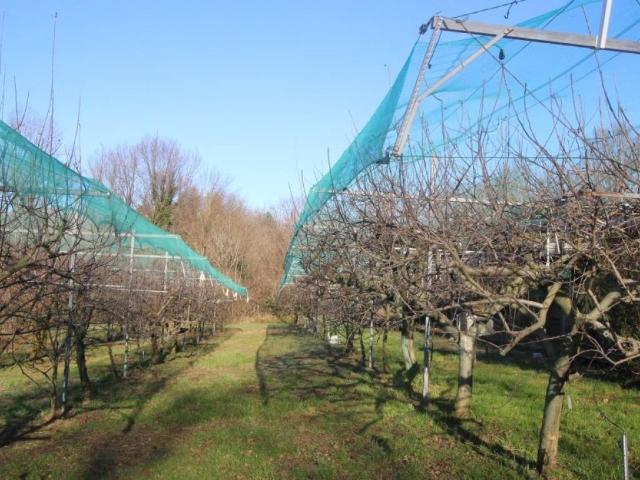 Terreno in vendita a Nibionno, Lombardia