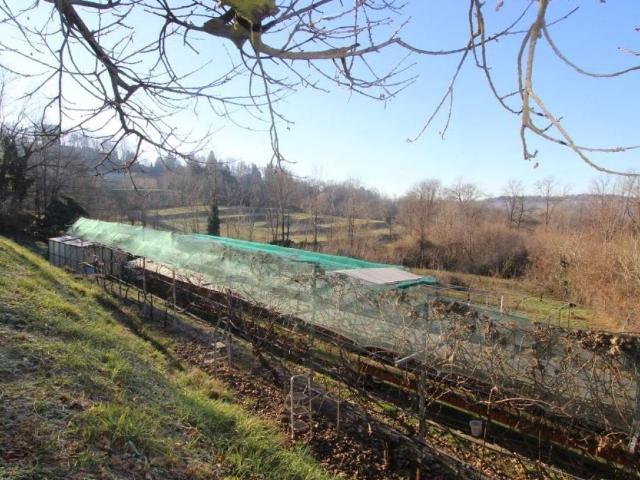 Terreno in vendita a Nibionno, Lombardia
